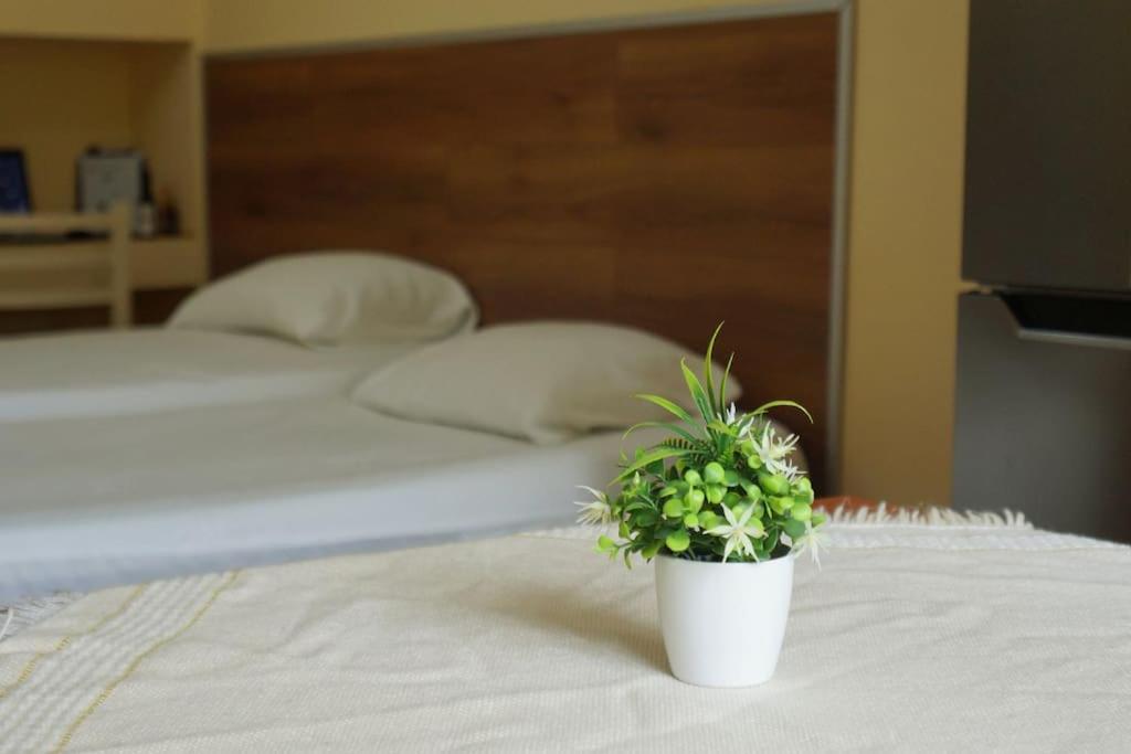 Alle'S M Shyri Studio Apartment Тирана Екстериор снимка